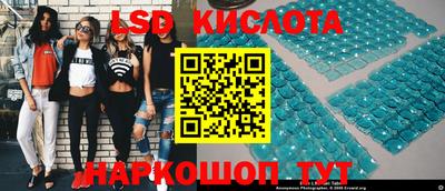 гидра Будённовск