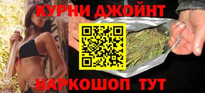 гидра Будённовск