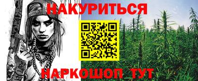 гидра Будённовск