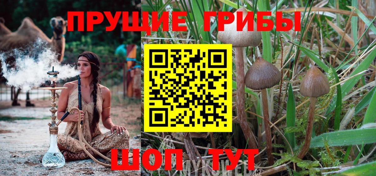 Междуреченск  Галлюциногенные грибы мицелий  Вход с VPN 